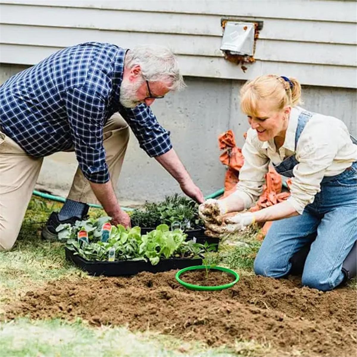 Gardening Tools Big - Big Discount 4 Plant Guard Rings