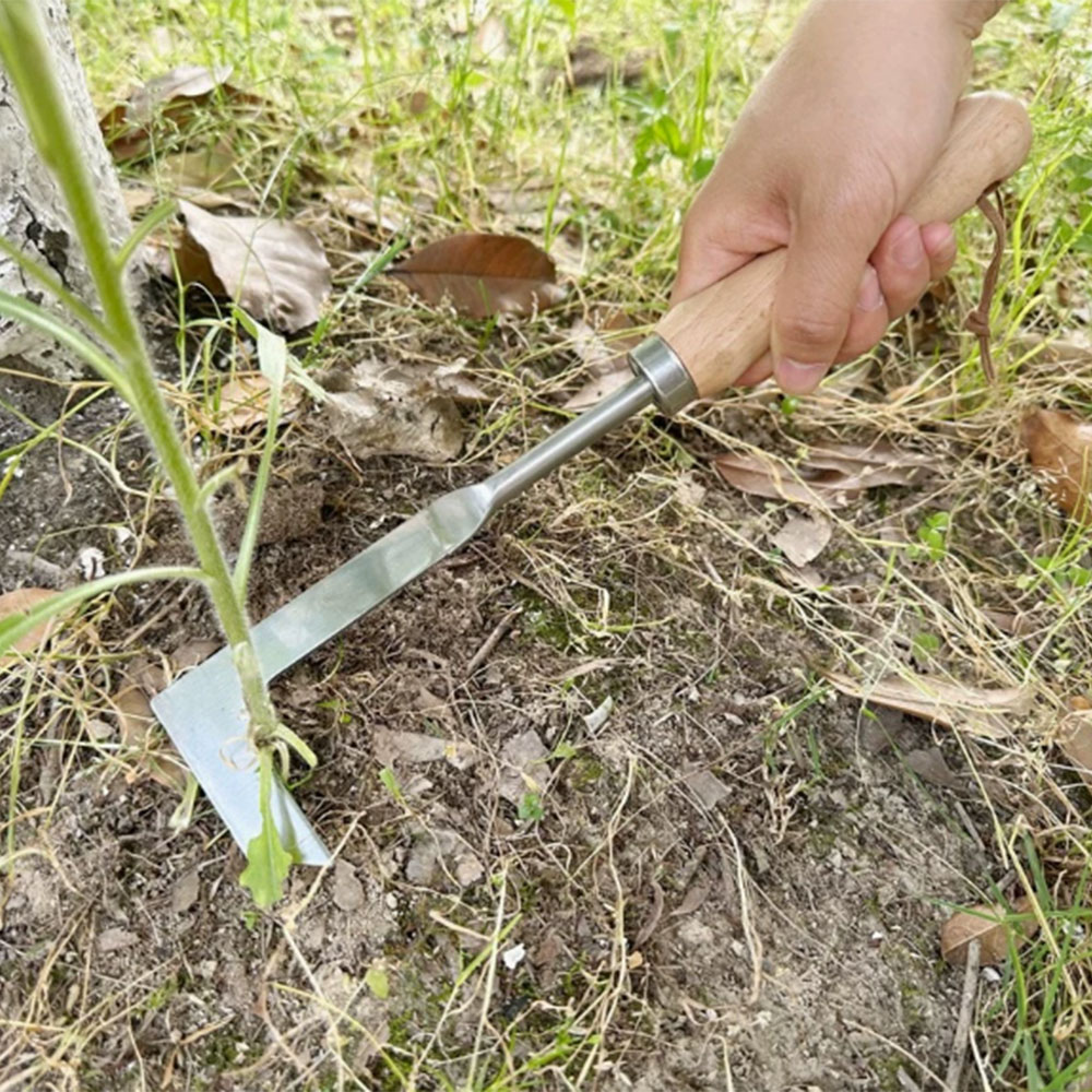 Stainless Steel Gap Weeding To - Gardening Tools Used ulasan dan harga