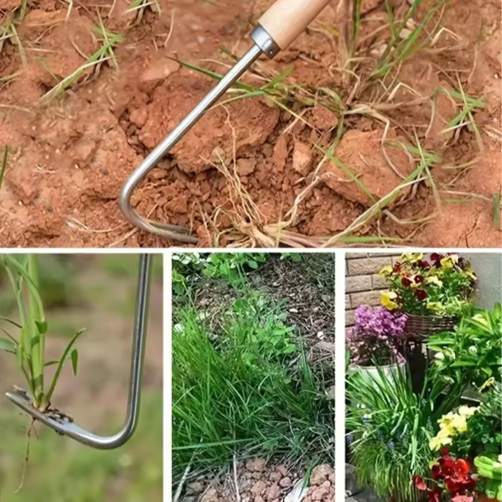 Stainless Steel Gap Weeding To - Gardening Tools Used ulasan dan harga