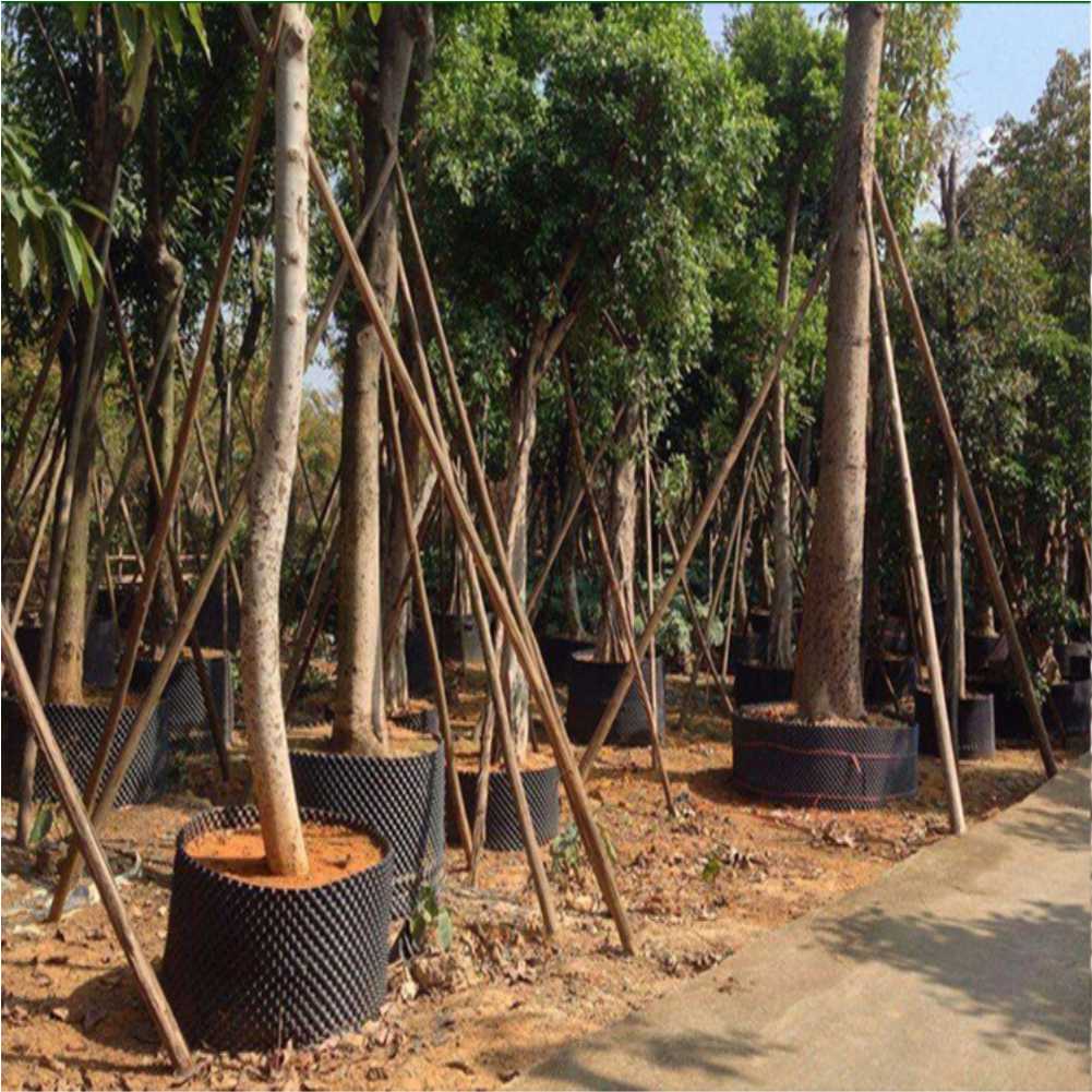Grow Container Garden Tree Bon - Gardening Tool ulasan dan harga