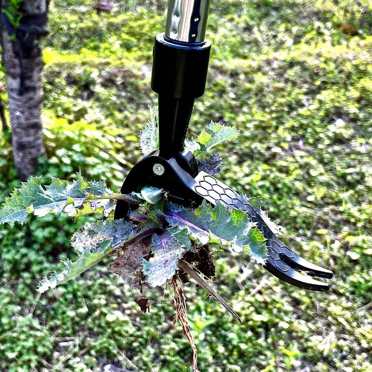 Save Labour Hand Metal Weed Ex - Gardening Tools You Need ulasan dan harga