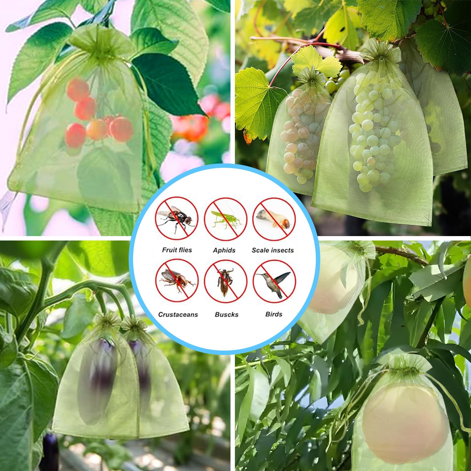 Effective Anti-Bird Netting Fr - Grow Bags ulasan dan harga
