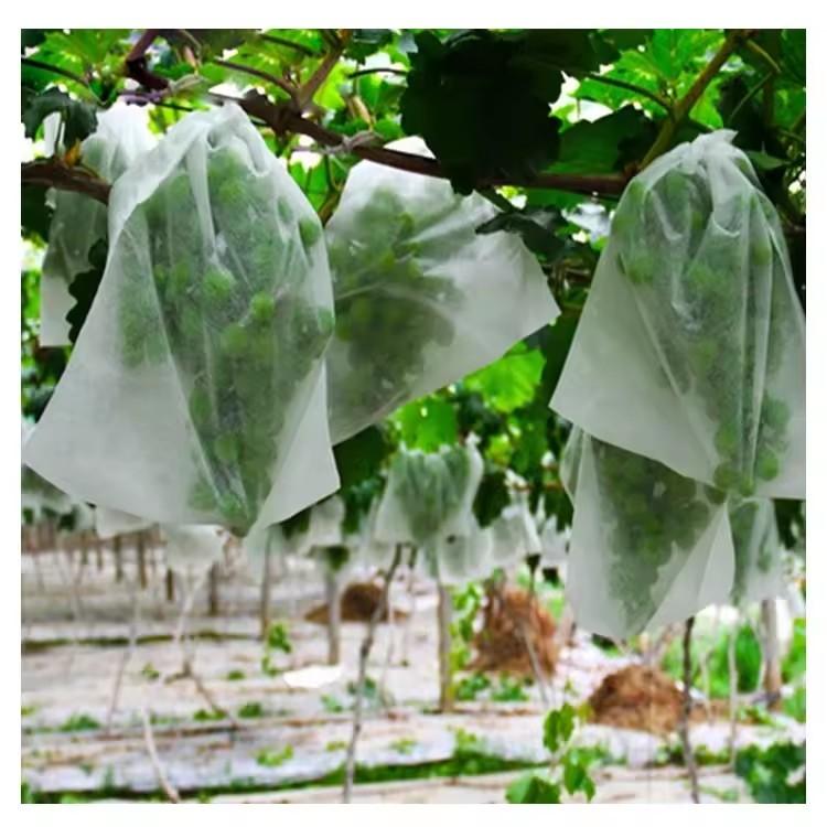 50Pcs Garden Fruit Protection  - Grow Bags ulasan dan harga