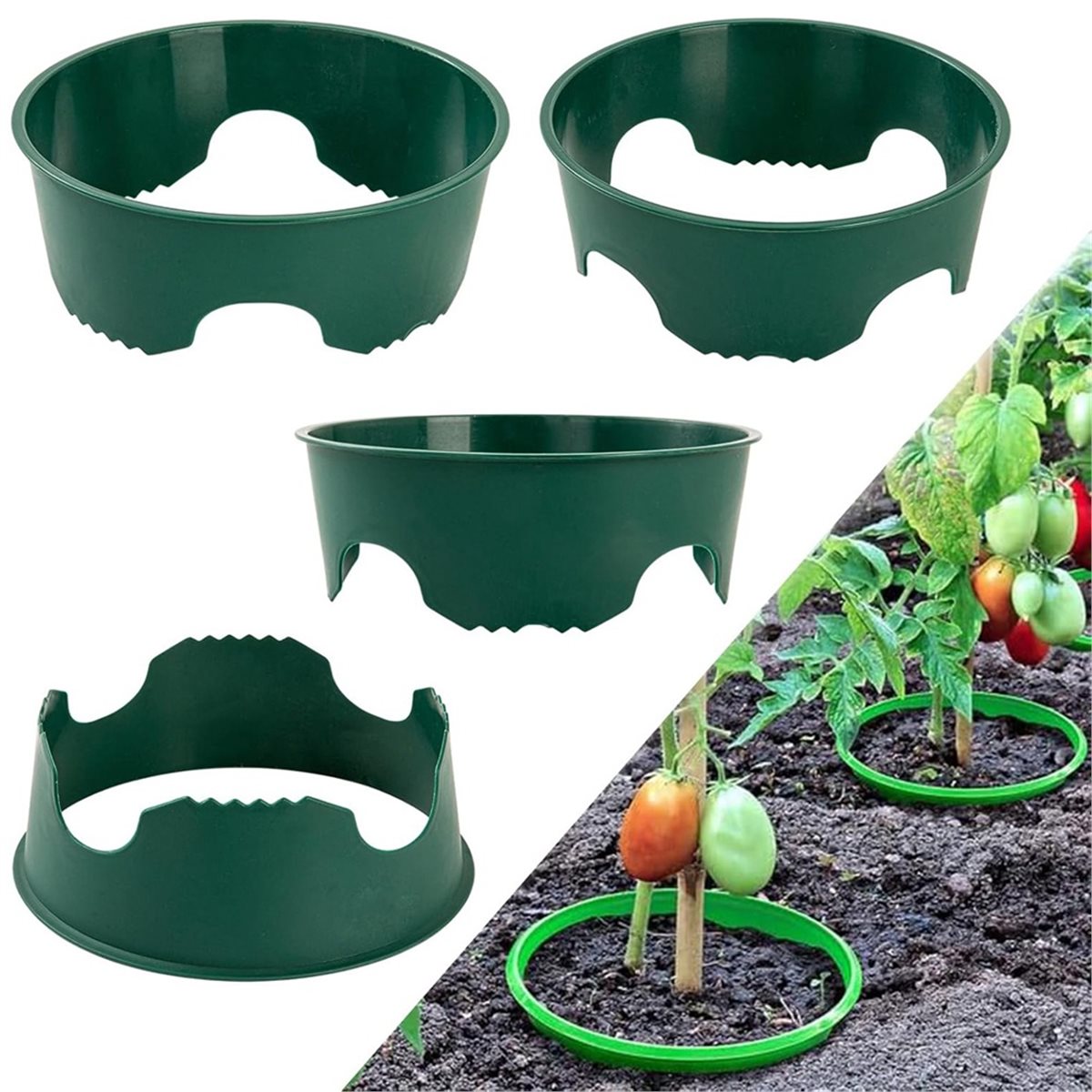 Big Discount 4 Plant Guard Rin - Gardening Tools Big ulasan dan harga