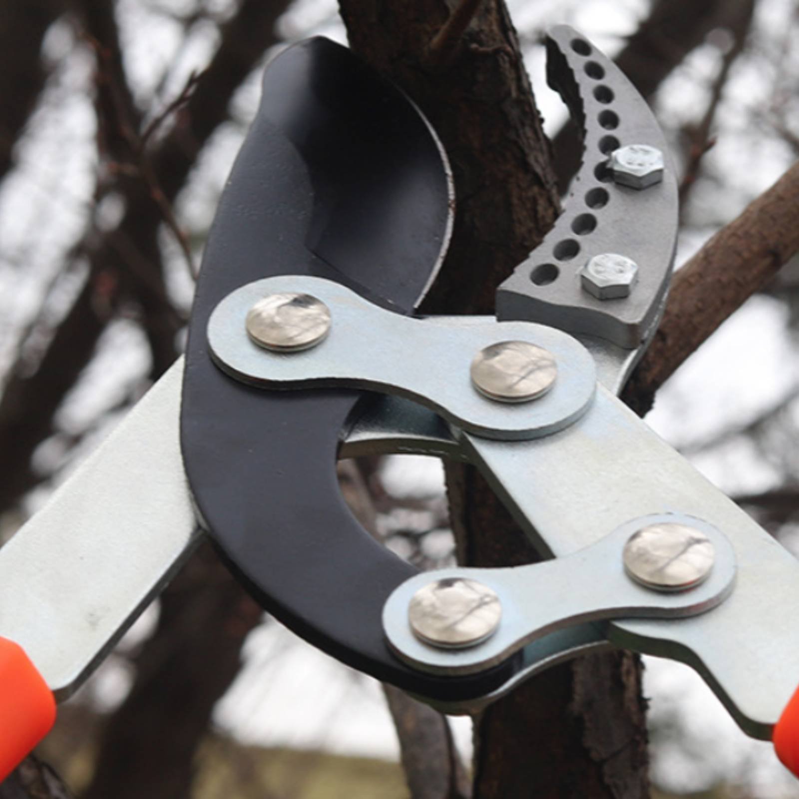 Telescopic Branch Pruners Shar - Gardening Tool ulasan dan harga