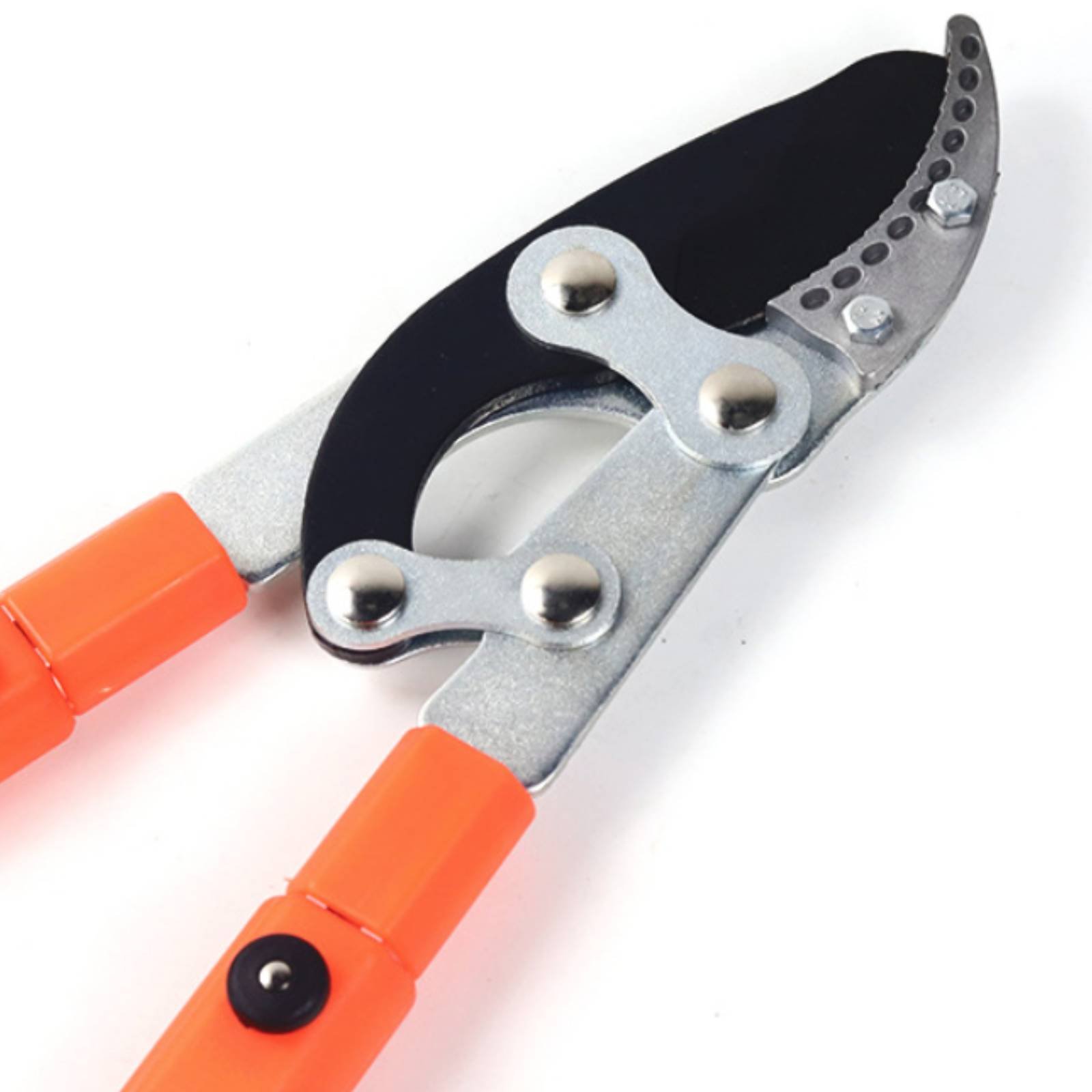 Telescopic Branch Pruners Shar - Gardening Tool ulasan dan harga